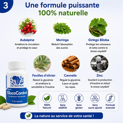 Conakry : équilibrez votre glycémie, GlucoControl
